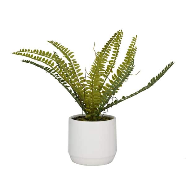 Novogratz 12 in. H Fern Artificial Plant with Realistic Leaves and White Ceramic Pot