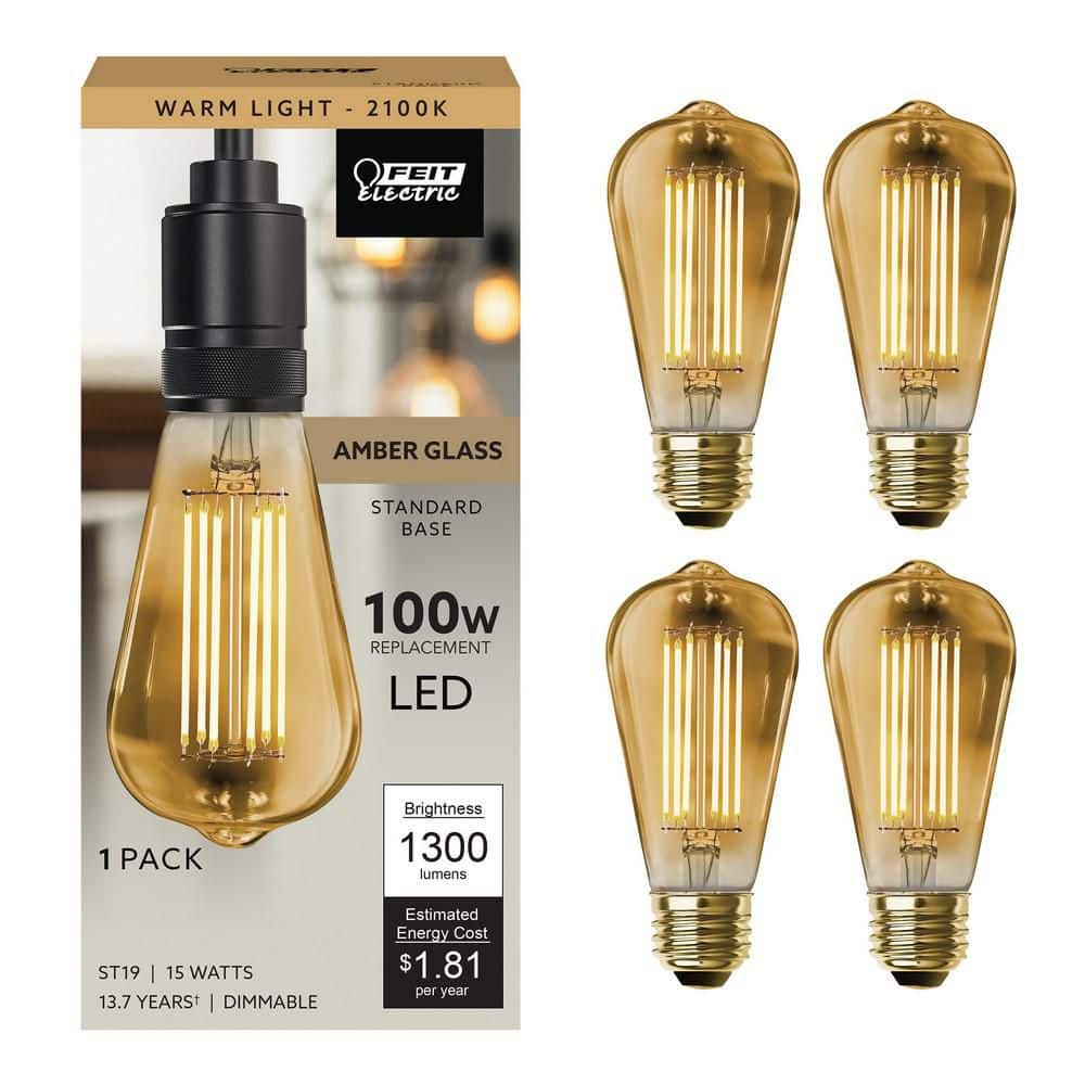 Feit Electric 100-Watt Equivalent ST19 Dimmable Cage Filament