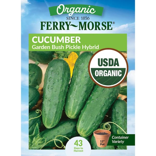 Ferry-Morse Organic Cucumber Garden Bush Pickle Hybrid Fruit Seeds