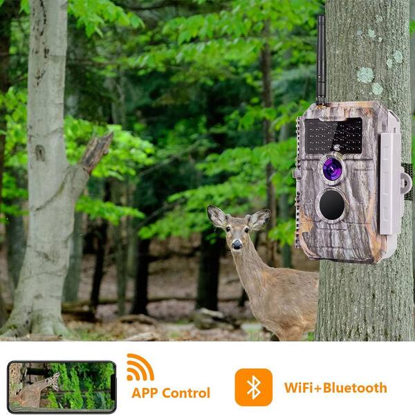 blaze video game camera