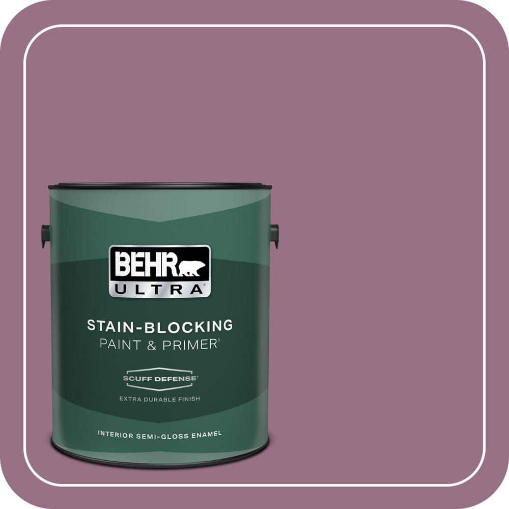 1 gal. #690D-6 Meadow Flower Extra Durable Semi-Gloss Enamel Interior Paint & Primer price history on PriceWatchPro