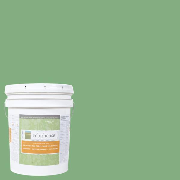 Colorhouse 5 gal. Thrive .05 Flat Interior Paint