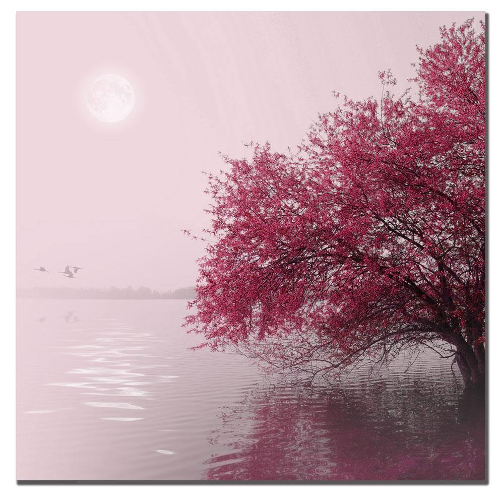 Philippe Sainte-Laudy Full Moon on the Lake Pink Canvas Art
