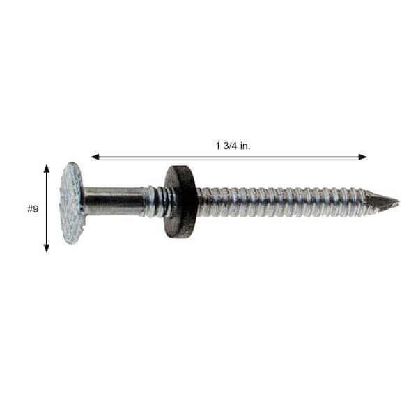 120mm Galvanized Roofing Screw Nails with Plastic Washer - China Roofing  Screw, Screw Nails | Made-in-China.com