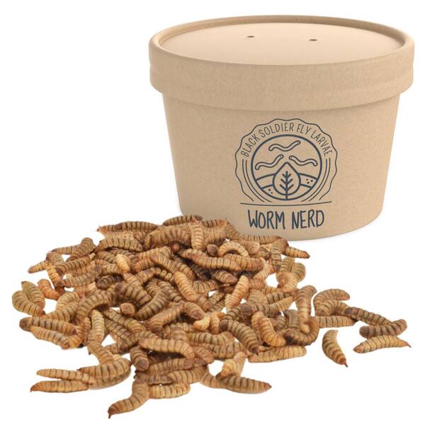 Arcadia Garden Products Dry Wildlife Food Black Soldier Fly Large Larvae (1000--Pack)
