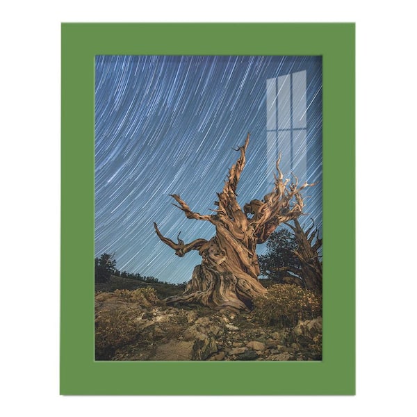 Wexford Home Modern 6 in. x 8 in. Green Picture Frame