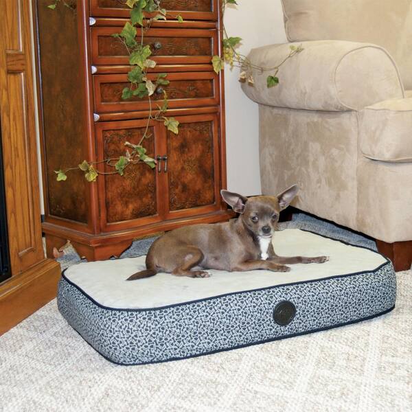 Orthopedic dog beds for small outlet dogs