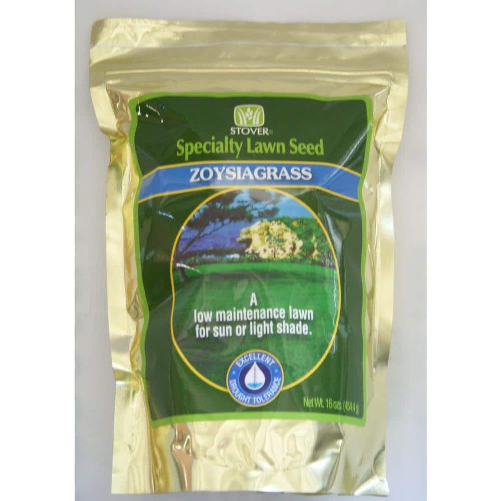 Home Depot Zoysia Seed