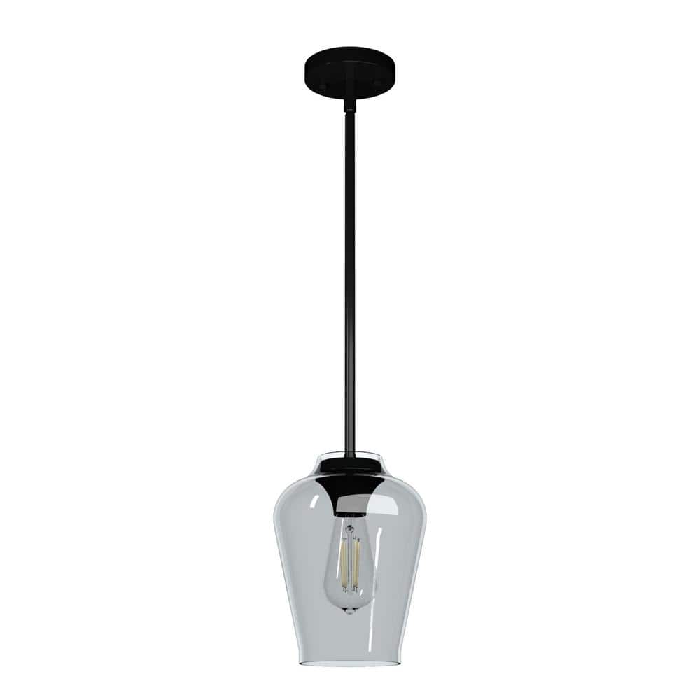 Vidria Matte Black 7.25" Mini Pendant Light with Vase-Shaped Glass