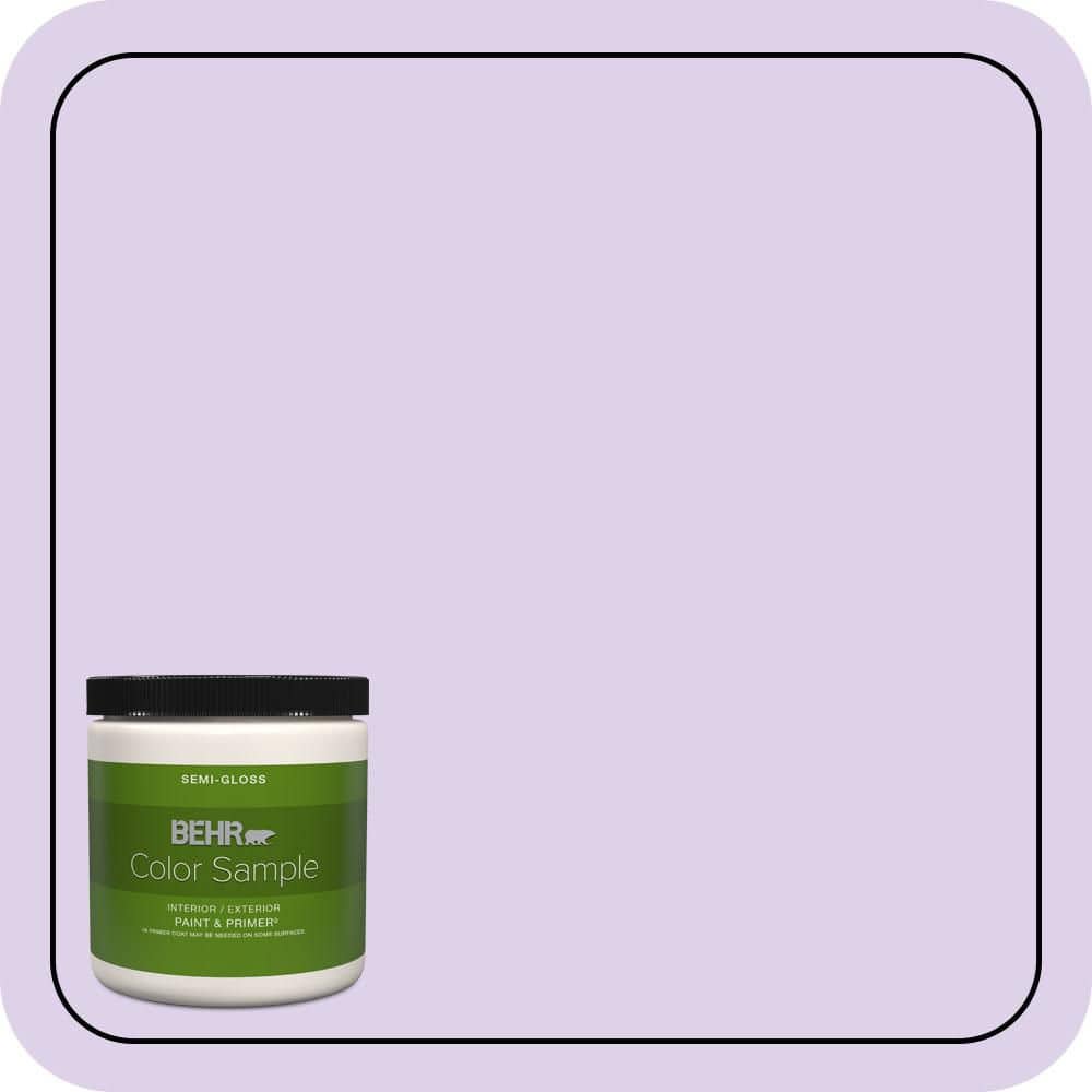 8 oz. #P570-1 Teary Eyed Semi-Gloss Interior/Exterior Paint & Primer Color Sample price history on PriceWatchPro