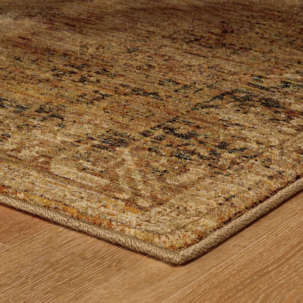 Aurora Gold/Brown 8 ft. x 10 ft. Distressed Area Rug