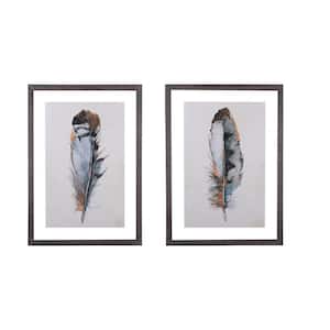 2 Piece Framed Graphic Print Feathers Nature Art Print 29 in. x 20 in.