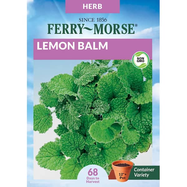 Lemon Balm Herb Seed
