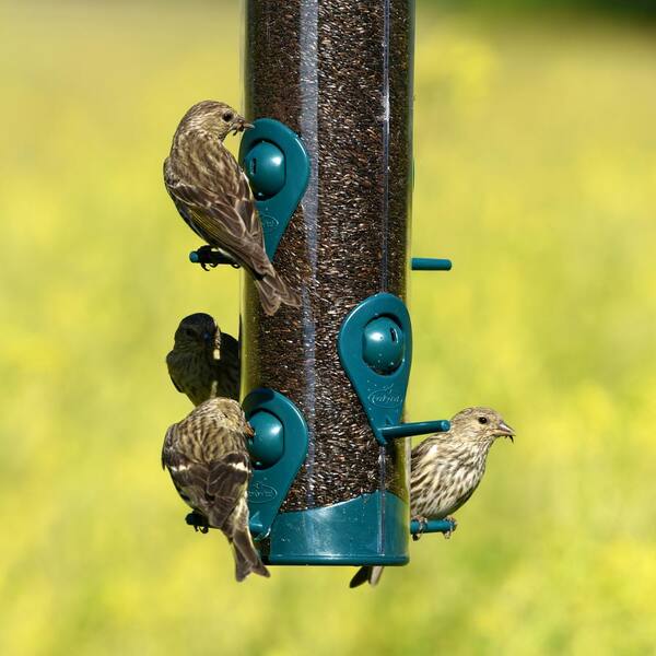 pets at home wild bird feeding station