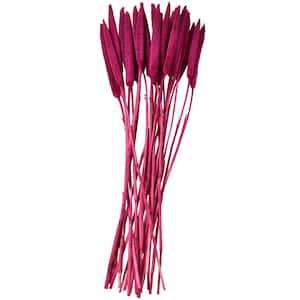 20 in. Bunny Tail Natural Foliage with Long Stems (1 Bundle)