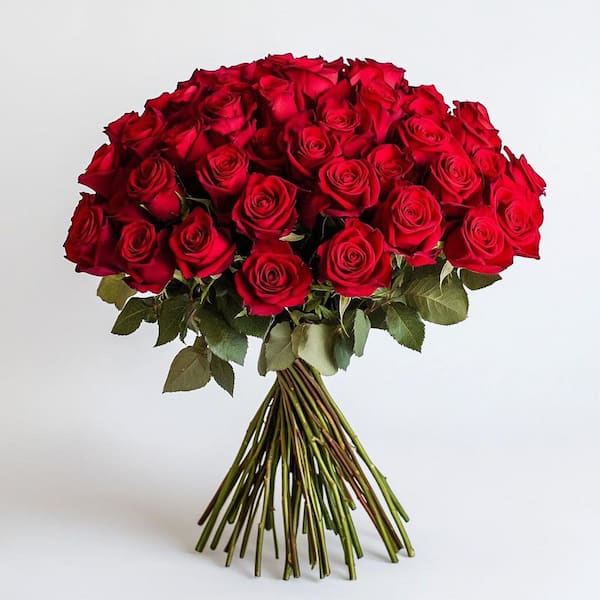 Globalrose Fresh Red Valentine´s Day Roses (50 Stems)