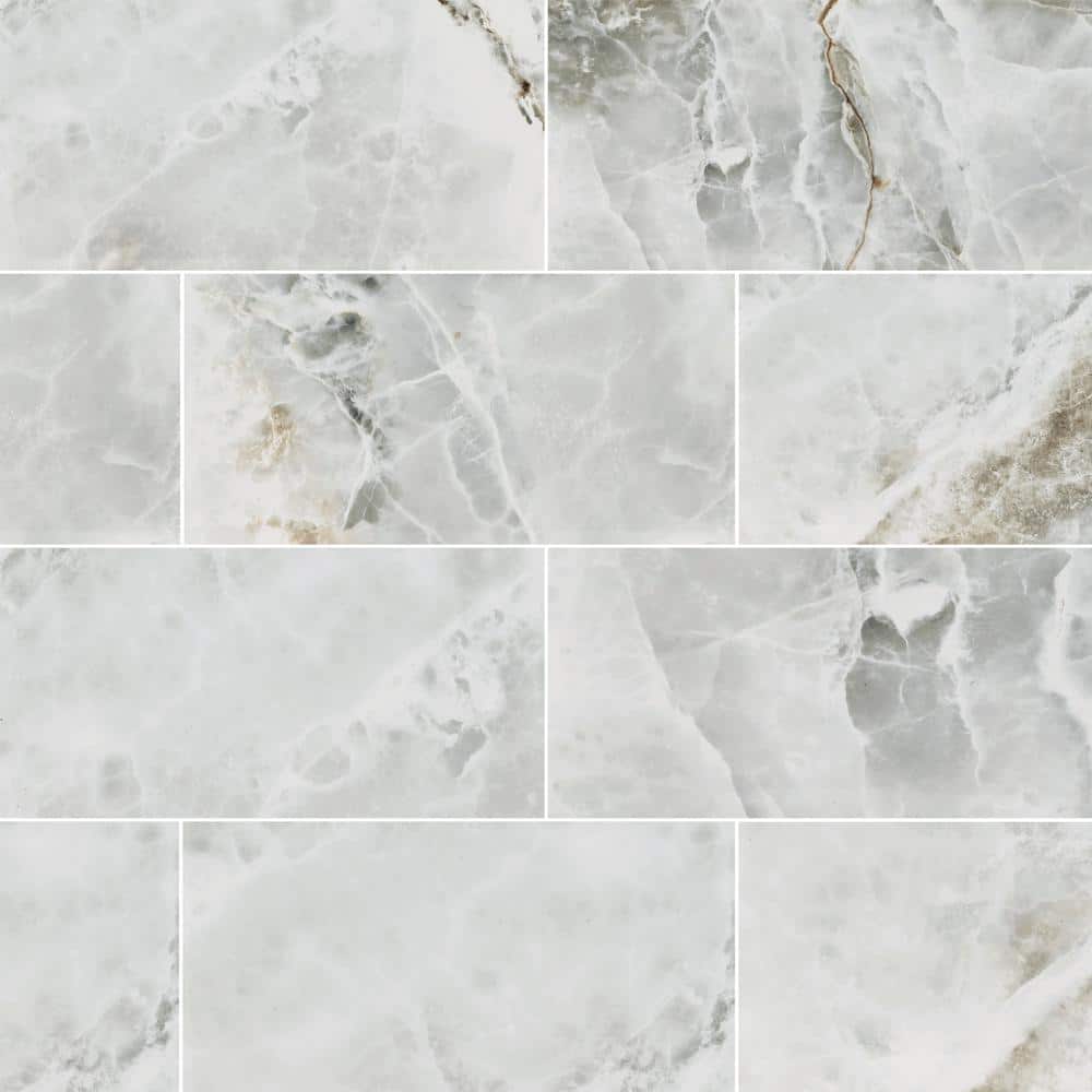 Take Home Tile Sample-Hornbill Gray 4 in. x 4 in. Polished Porcelain Stone Look Floor and Wall Tile price history on PriceWatchPro