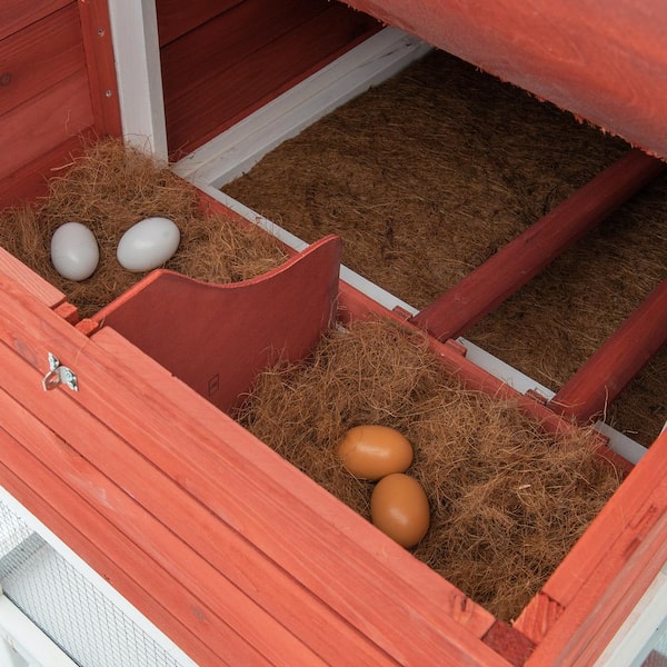 Animal House Wooden Decoy Chicken Nesting Eggs White Training Eggs