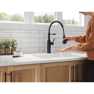 Theodora Single Handle Pull Down Sprayer Kitchen Faucet with Spring Spout in Matte Black