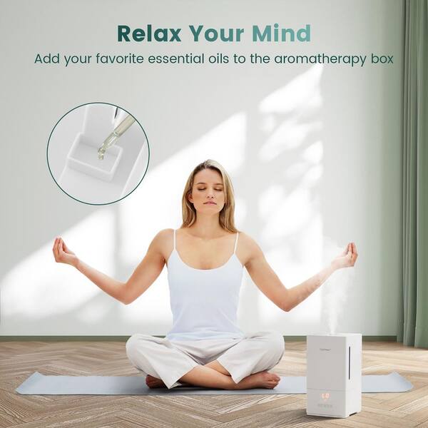 totonou mist 150ml 5個 Amazon.com: Crane Drop Ultrasonic Cool Mist Humidifier, 1