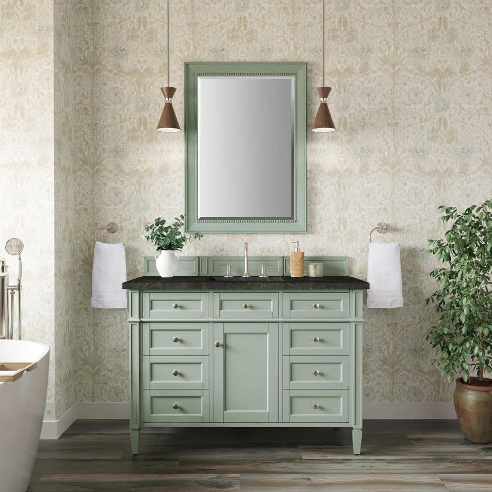 Brittany 48.0 in. Single Bath Vanity in Sage Green with Phantome Engineered Composite Top price history on PriceWatchPro