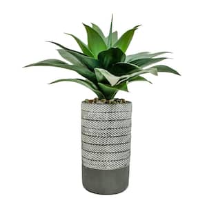 19 in. Artificial Agave in a Ribbed Grey Cement Pot