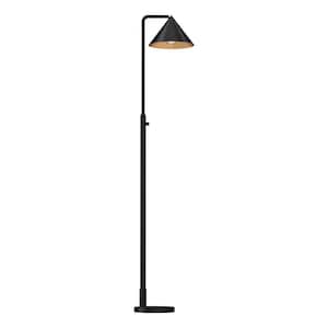 Remy 58 in. 1-Light 60-Watt Matte Black Modern Floor Lamp