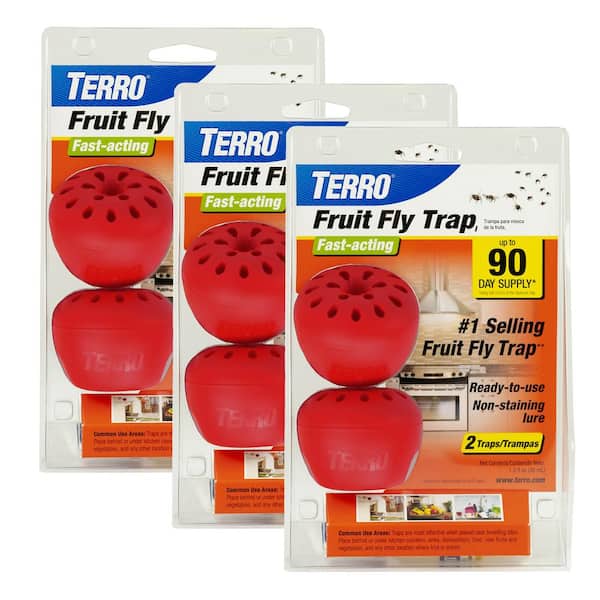 Best Fruit Fly Traps: Terro Fruit Fly Traps on