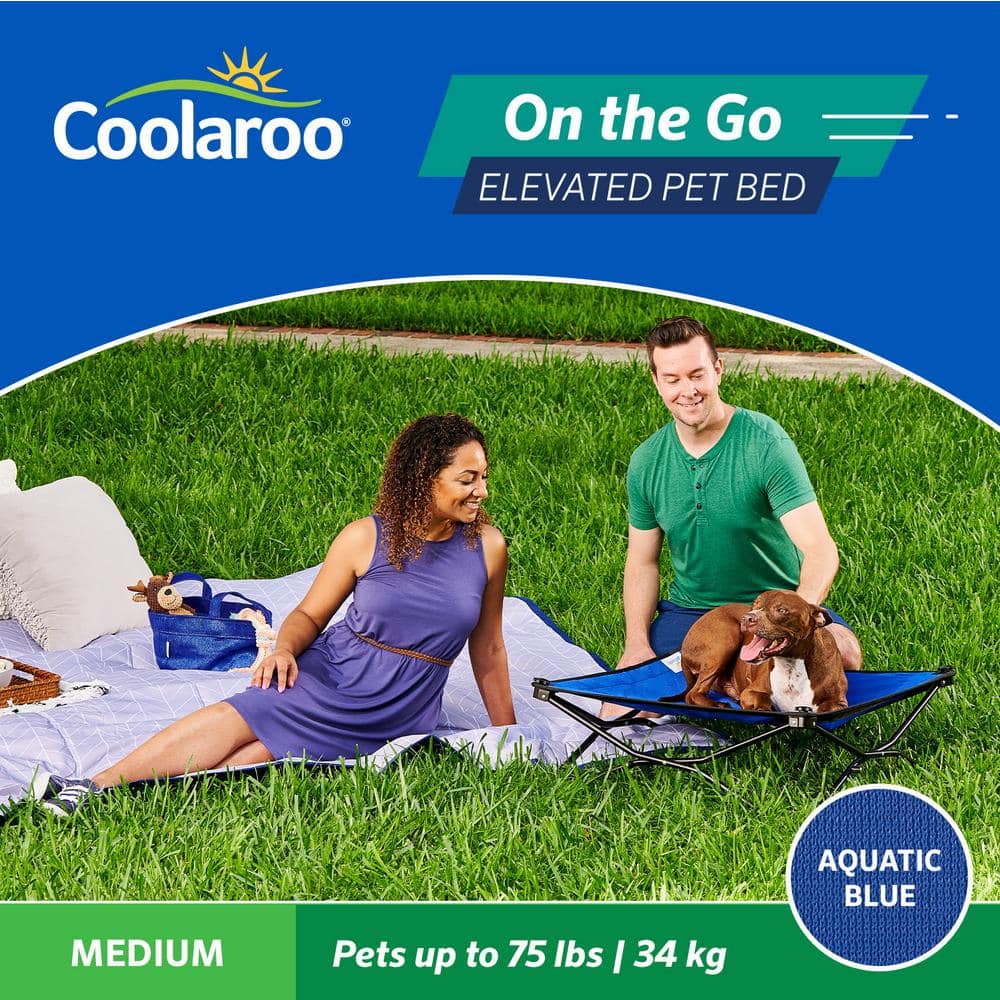 Medium Aquatic Blue Elevated Outdoor Pet Bed