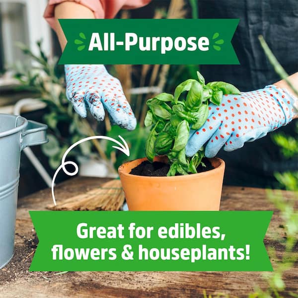 Back to the Roots 6 qt. Organic All-Purpose Potting Mix Soil