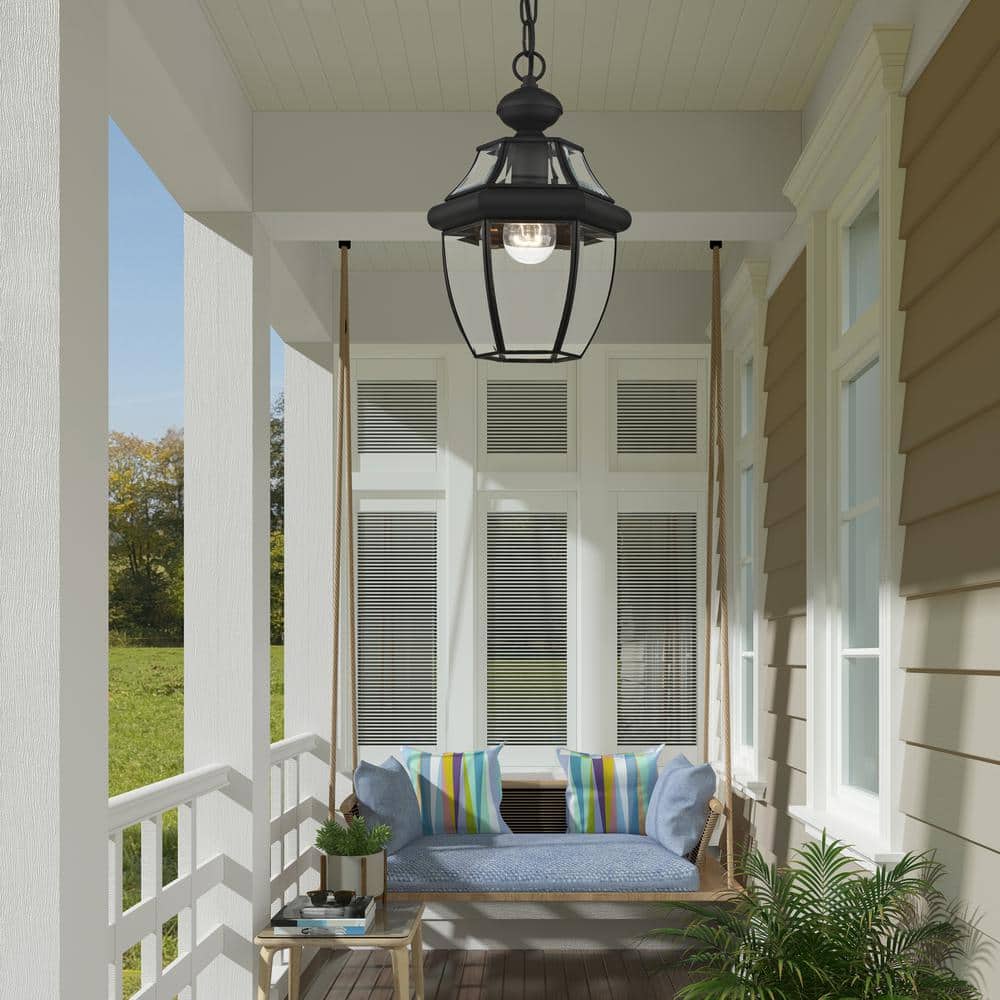 Black Glass 1-Light Indoor/Outdoor Pendant Lantern