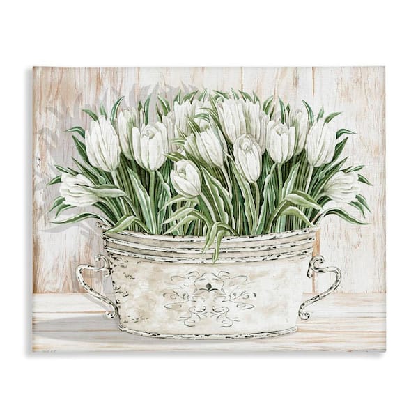 Stupell Industries Fresh White Tulip Flowers by Cindy Jacobs 1-Piece Gallery Wrapped Unframed Nature Graphic Art Print 40 in. x 30 in.