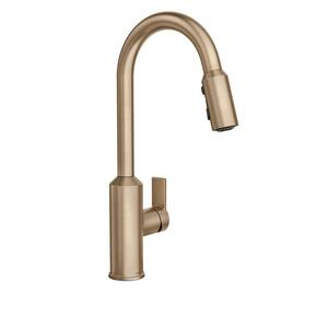 Meena Single-Handle Pull-Down Sprayer Kitchen Faucet with Power Clean and Reflex in Bronzed Gold