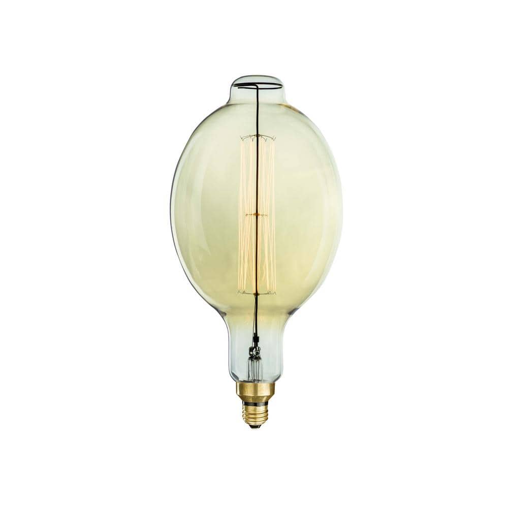 60-Watt BT56 Incadescent Medium Base (E26) Grand Filament Light Bulb Nostal