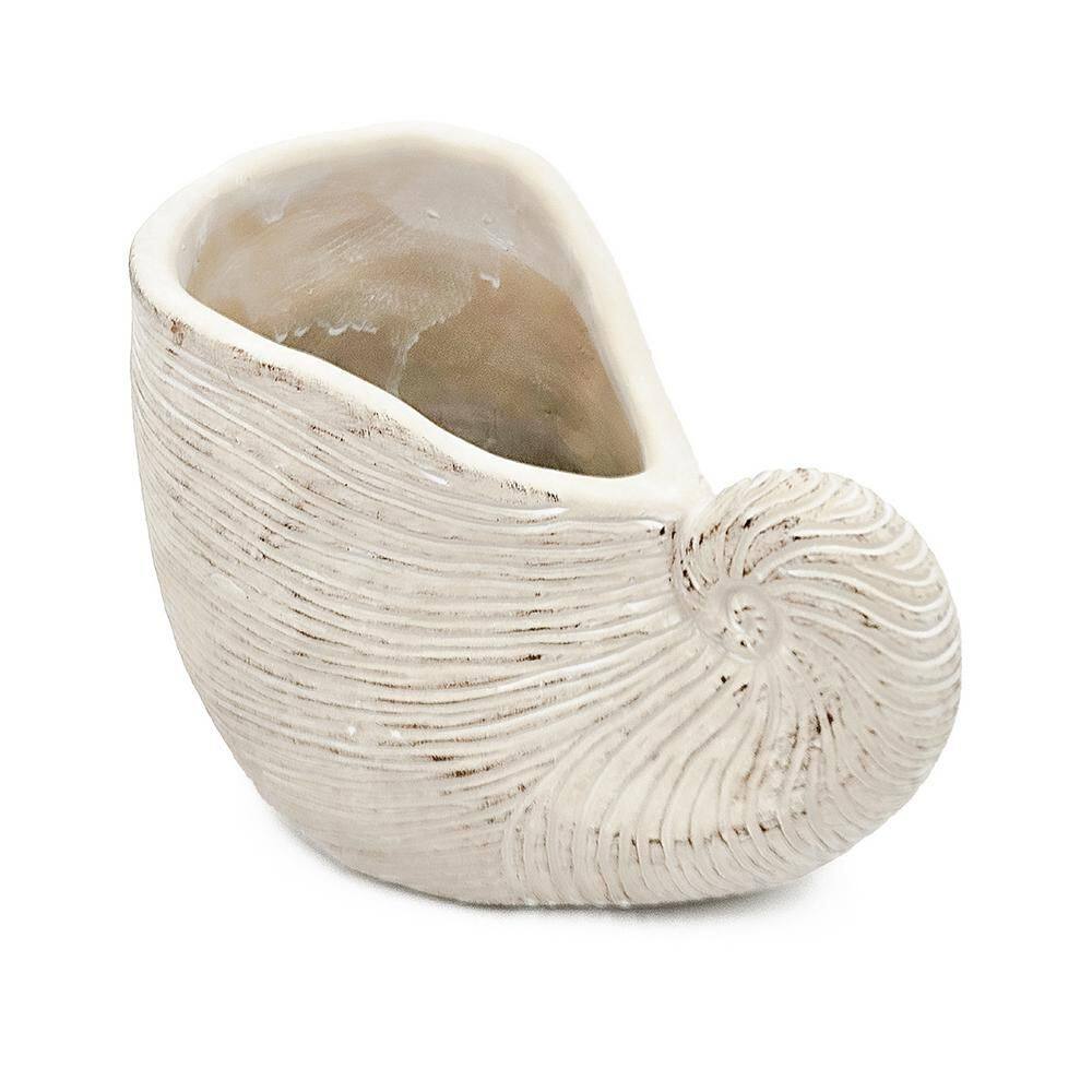 Composite Shell Planter-8.5 in x 5. 5 in x 6. 3 in Decorative Pot -Indoor/Outdoor Succulent Herb Flower Container price history on PriceWatchPro