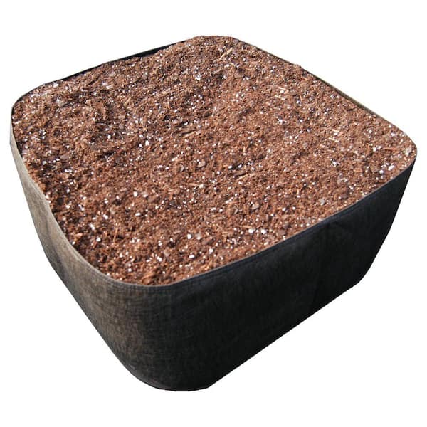 EZ- Gro 2 ft. x 2 ft. Black Instant Raised Garden Bed Bed