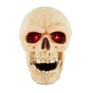 Animated Talking Skull