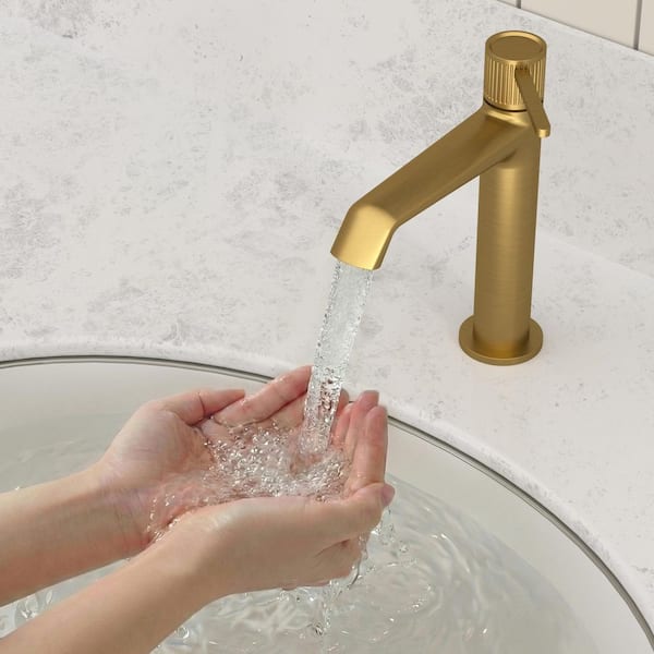 YAWWALK Single-Handle Single Hole Bathroom Sink Faucet with Pop-Up
