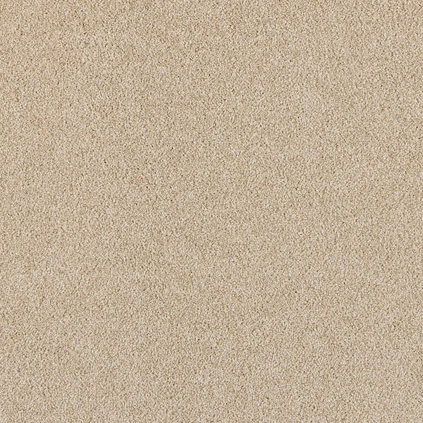 Tailored Trends II Royal Beige 47 oz. Polyester Textured Installed Carpet