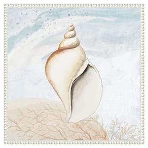 "Ocean Tropical Seashell I" by Patricia Pinto 1-Piece Floater Frame Giclee Coastal Canvas Art Print 22 in. x 22 in.