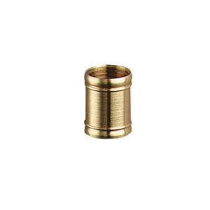 1/8-IP Polished Brass Plate Coupling (2-Pack)