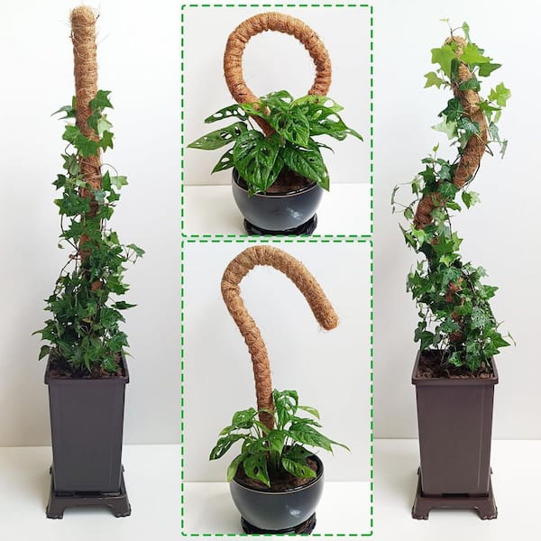 moss stick　sw58 71udi70YFVL._UF894,1000_QL80_.jpg