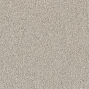Blissful II - Euphoric White - 60 oz. SD Polyester Texture Installed Carpet