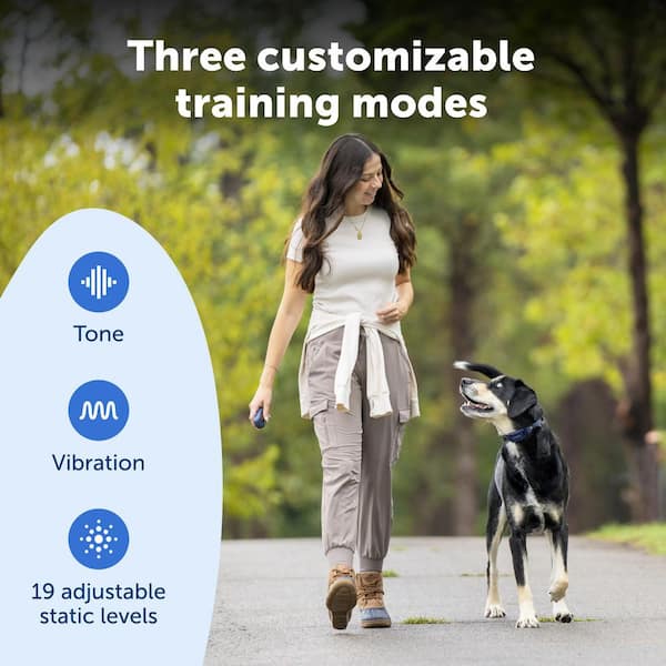 Reviews for PetSafe Pro Dog Trainer with Remote-Waterproof Training Collar-1000 ft Range-Tone, Vibration and 19 Levels of Static | Pg 1 - The Home Depot Reviews for PetSafe Pro Dog Trainer with Remote-Waterproof Training Collar-1000 ft Range-Tone, Vibration and 19 Levels of Static | Pg 1 - The Home Depot