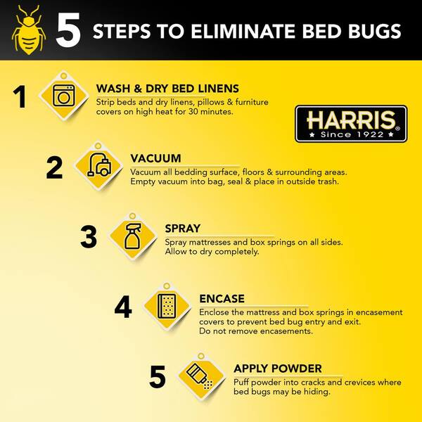 Harris Bed Bug Trap Value Pack BBTRPVP - The Home Depot