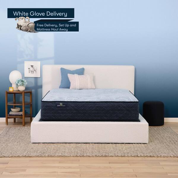 Serta Perfect Sleeper Nurture Night Queen Plush 13.5 in. Mattress ...