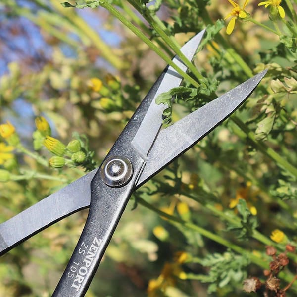 ZENPORT Deluxe Scissors, Garden/Fruit/Craft, 6.5 in. L (Box of 3