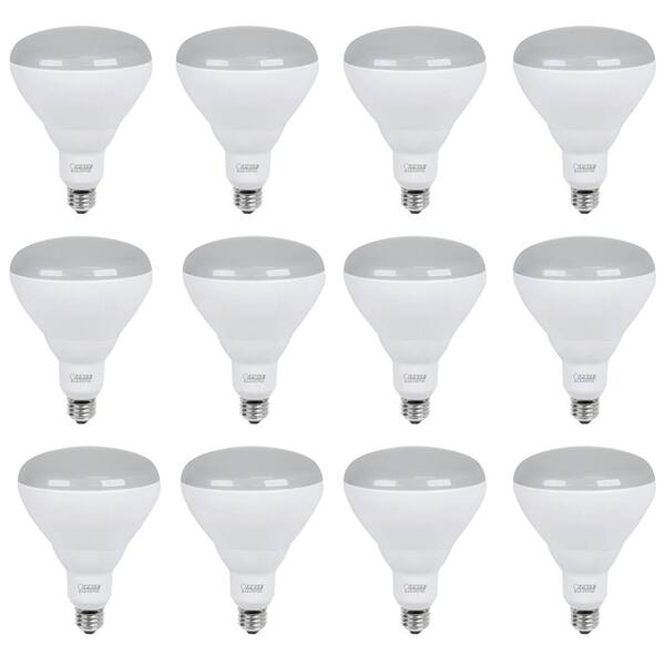 Feit Electric 65W Equivalent Soft White (2700K) BR40 Dimmable LED Light Bulb Maintenance Pack (12-Pack)