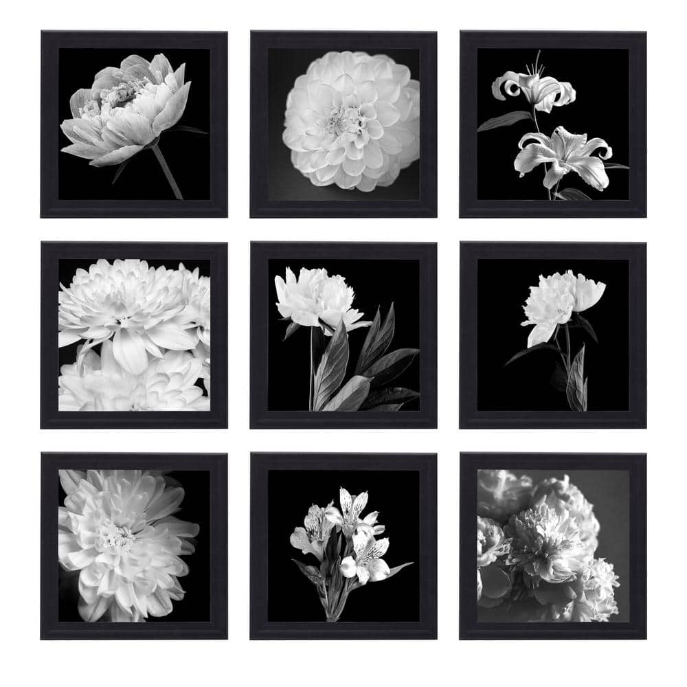 9.25 in. x 9.25 in. MDF Black Picture Frames/Hold 8 x 8 Photos, Set of 9 price history on PriceWatchPro