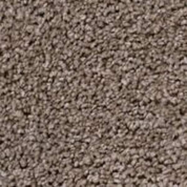 TrafficMaster 8 in. x 8 in. Texture Carpet Sample - Founder -Color Builder